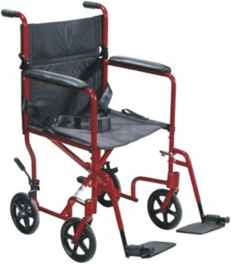 Companion Wheelchair