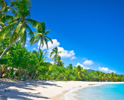 NTC2023 - Beautiful beach in Saint Lucia, Caribbean Islands