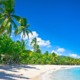 NTC2023 - Beautiful beach in Saint Lucia, Caribbean Islands