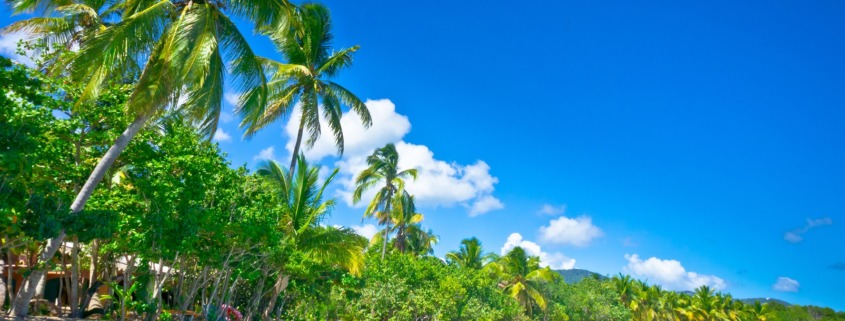 NTC2023 - Beautiful beach in Saint Lucia, Caribbean Islands