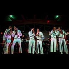 Elvis Tribute Artists