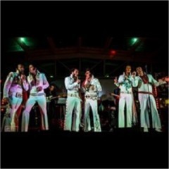 Elvis Tribute Artists