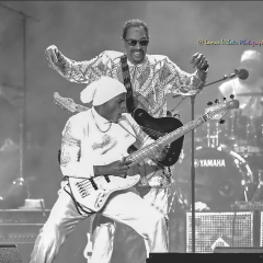 The Brothers Johnson